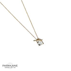 Park Lane Eclair Necklace ✨
